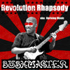 CD Bushmaster - Dancing In The Belly Of The Beast