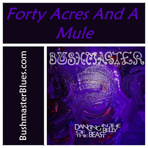 DBB08 Forty Acres And A Mule - song download